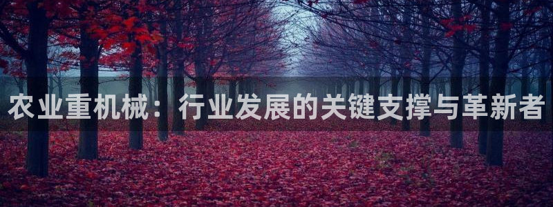 顺盈娱乐是天系列平台