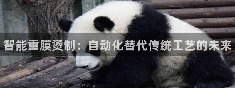 顺盈娱乐注册平台是什么