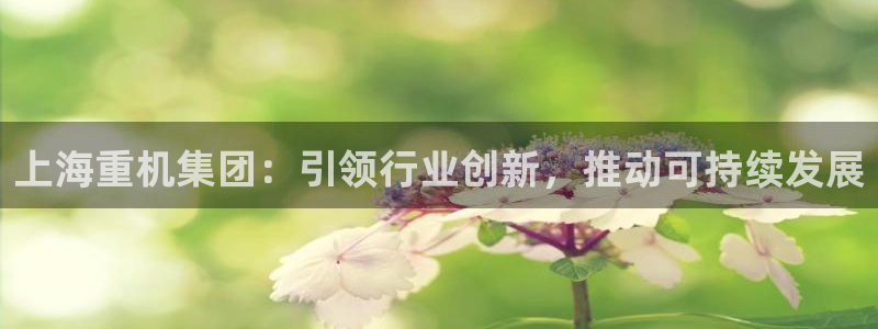 清远顺盈娱乐怎么样