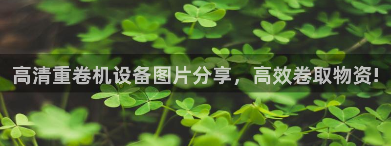 顺盈娱乐招商下原判官333OO