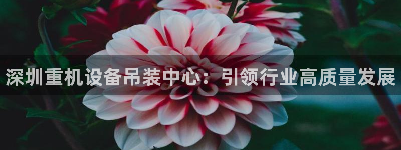 顺盈娱乐主管刘判官333OO：深圳重机设备吊装中心：引领行业