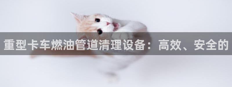 顺盈娱乐结究7276O