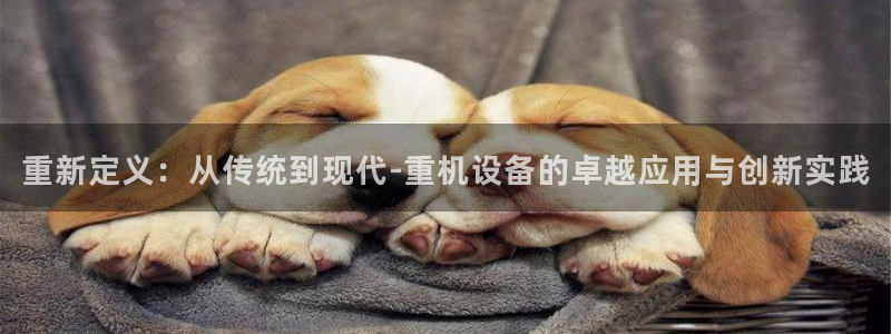 顺盈娱乐注册平台怎么样：重新定义：从传统到现代-重机设备的卓