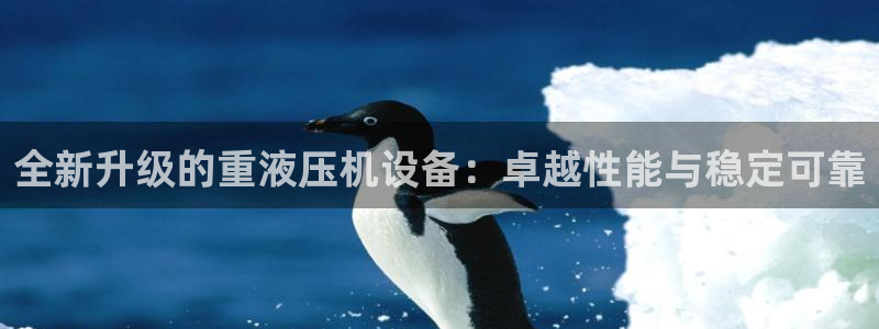 顺盈娱乐注册楚判官333OO：全新升级的重液压机设备：卓越性