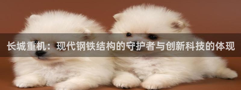 顺盈娱乐李333OO：长城重机：现代钢铁结构的守护者与创新科