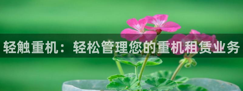 顺盈娱乐平台下载：轻触重机：轻松管理您的重机租赁业务