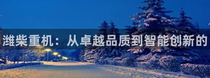 顺盈娱乐招商前原判官333OO：潍柴重机：从卓越品质到智能创