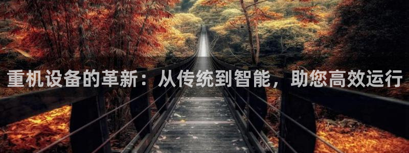 顺盈娱乐975949：重机设备的革新：从传统到智能，助您高效