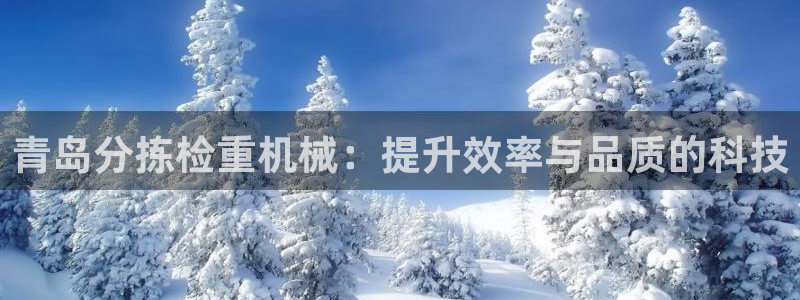 优盈娱乐耐顺63390：青岛分拣检重机械：提升效率与品质的科