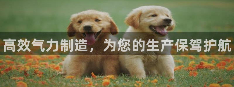 顺盈娱乐平台会黑人吗：高效气力制造，为您的生产保驾护航
