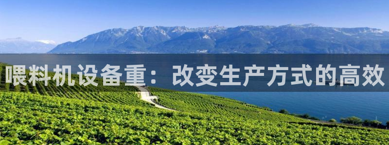 顺盈娱乐注册资金多少：喂料机设备重：改变生产方式的高效