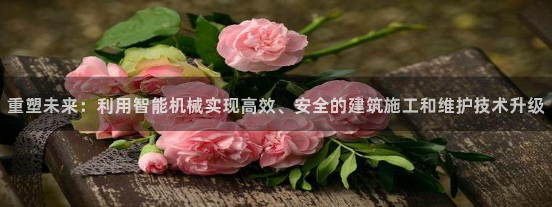 顺盈娱乐：重塑未来：利用智能机械实现高效、安全的建筑施工和维