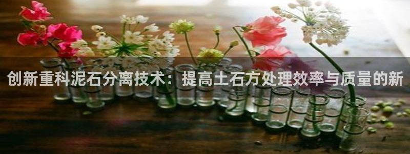 顺盈娱乐注册这唐老鸭779O3：创新重科泥石分离技术：提高土