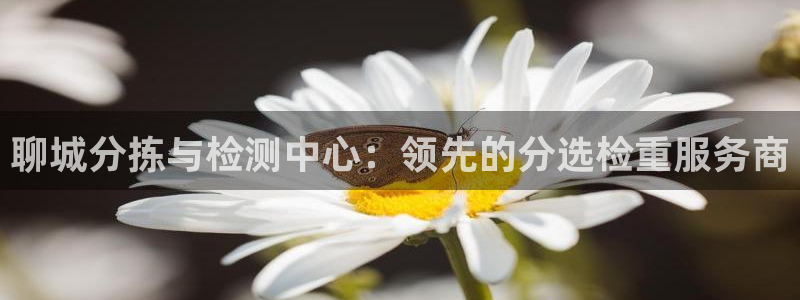 顺盈娱乐队究7276O