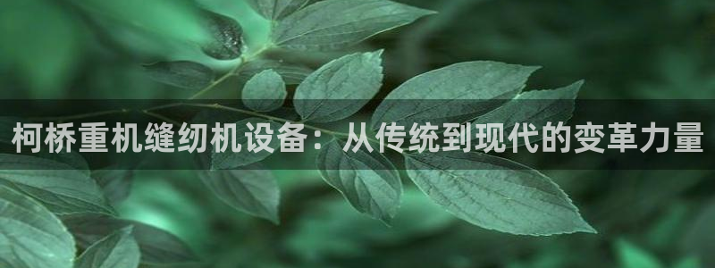 顺盈娱乐下载官网地址：柯桥重机缝纫机设备：从传统到现代的变革