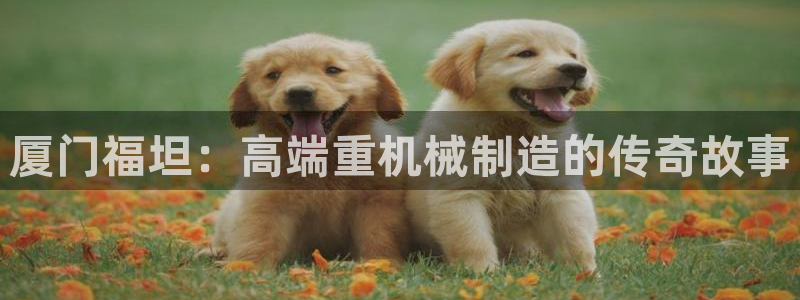 顺盈娱乐代理怎么样了啊