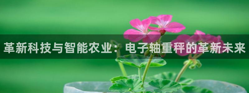 顺盈娱乐28是什么?