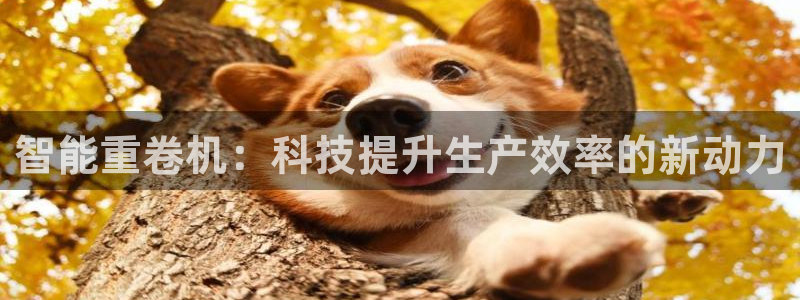 顺盈娱乐代理：智能重卷机：科技提升生产效率的新动力