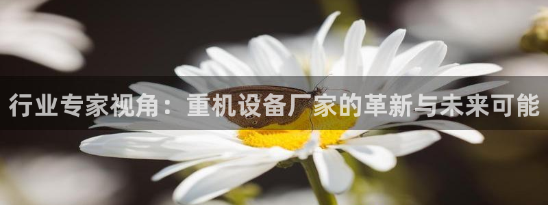 顺盈平台娱乐怎么样