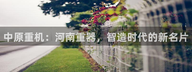 顺盈2娱乐