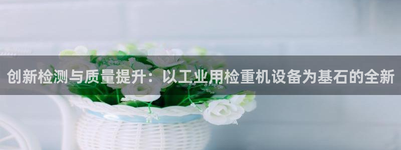 顺盈娱乐注册官网：创新检测与质量提升：以工业用检重机设备为基