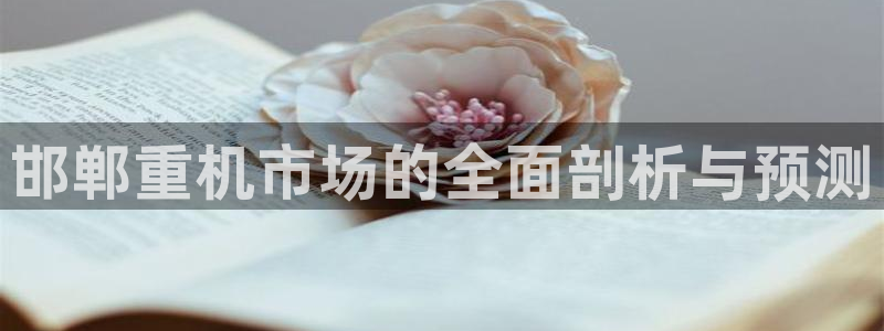 清城区顺盈娱乐会所电话：邯郸重机市场的全面剖析与预测
