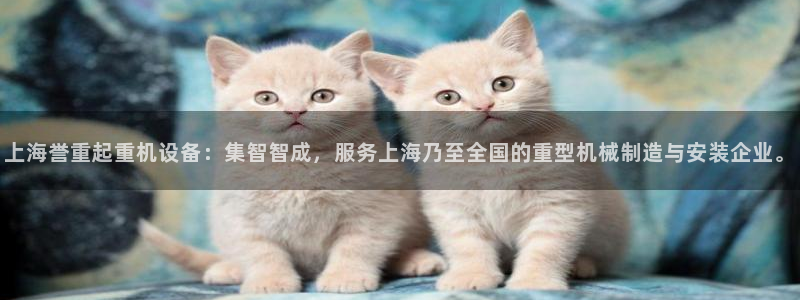 盈顺休闲娱乐室门票：上海誉重起重机设备：集智智成，服务上海乃