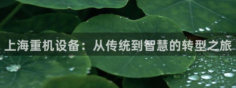 清远顺盈娱乐酒店：上海重机设备：从传统到智慧的转型之旅