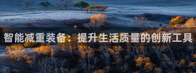 顺盈娱乐平台登录：智能减重装备：提升生活质量的创新工具