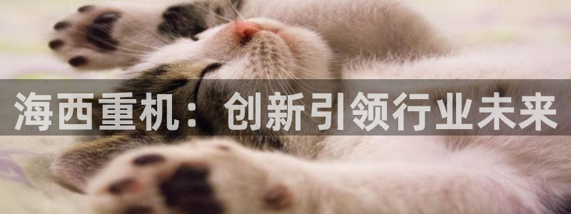 顺盈娱乐代理怎么样啊：海西重机：创新引领行业未来