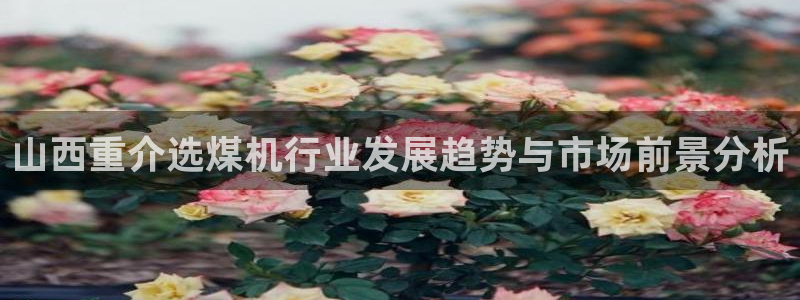 顺盈娱乐代理怎么样做：山西重介选煤机行业发展趋势与市场前景分