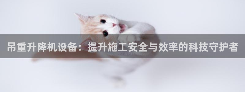 顺盈娱乐主管=天神779O3：吊重升降机设备：提升施工安全与