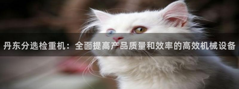 顺盈娱乐官网首页：丹东分选检重机：全面提高产品质量和效率的高