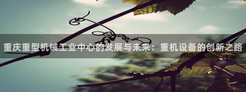 顺盈2娱乐主管刘判官333OO：重庆重型机械工业中心的发展与