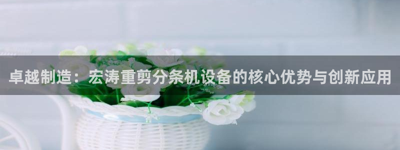 顺盈娱乐登录平台网址：卓越制造：宏涛重剪分条机设备的核心优势