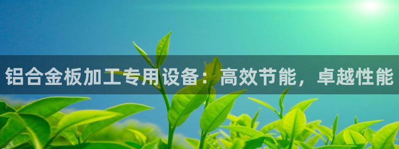 顺盈娱乐主管：铝合金板加工专用设备：高效节能，卓越性能