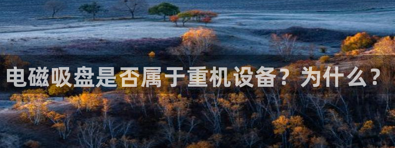 顺盈娱乐主管待判官333OO：电磁吸盘是否属于重机设备？为什