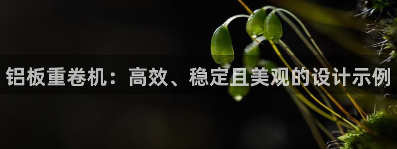 顺盈娱乐注册：铝板重卷机：高效、稳定且美观的设计示例
