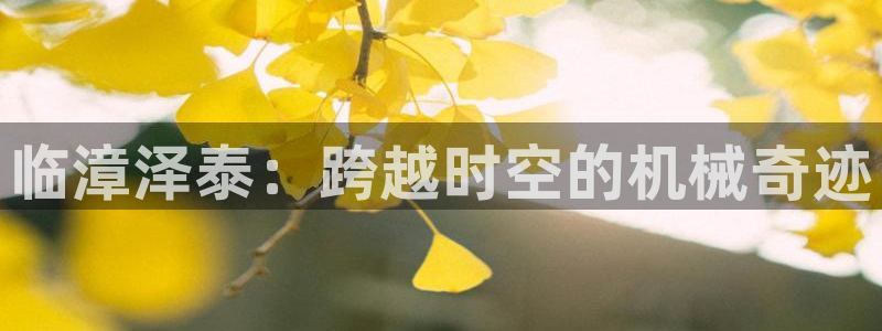 清远顺盈广场娱乐公司