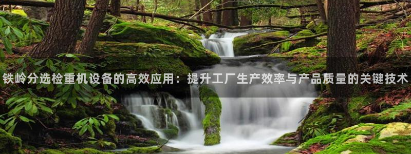 顺盈抖音团购娱乐：铁岭分选检重机设备的高效应用：提升工厂生产