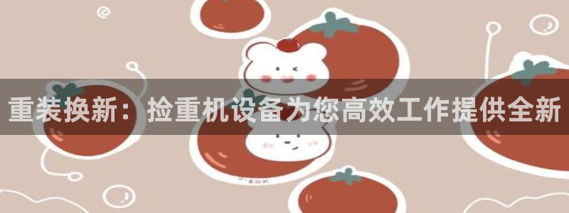 顺盈娱乐在线开户流程图：重装换新：捡重机设备为您高效工作提供