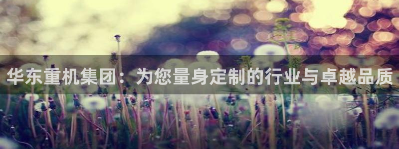 顺盈娱乐棋牌官网地址：华东重机集团：为您量身定制的行业与卓越