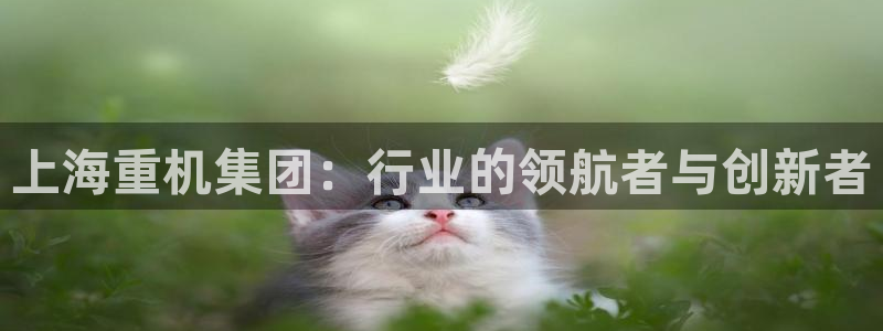 盈顺棋牌娱乐室电话地址