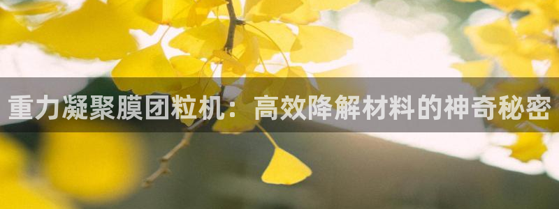 顺盈娱乐下载安装官方版：重力凝聚膜团粒机：高效降解材料的神奇