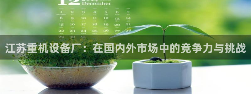 顺盈娱乐在线教育:江苏重机设备厂:在国内外市场中的竞争力与挑