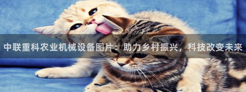 清远顺盈娱乐公司:中联重科农业机械设备图片:助力乡村振兴,科