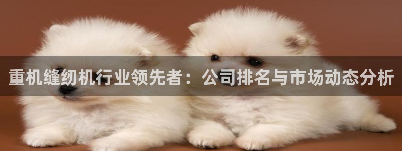 三水区顺盈棋牌娱乐:重机缝纫机行业领先者:公司排名与市场动态