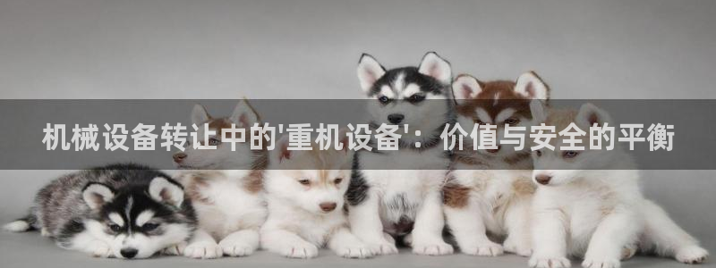 顺盈广场娱乐会所电话:机械设备转让中的\'重机设备\':价值