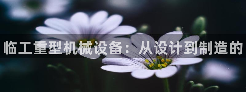 顺盈娱乐是什么意思:临工重型机械设备:从设计到制造的