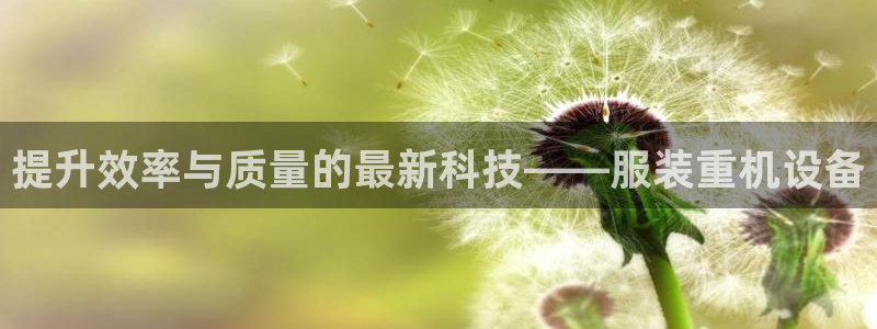 三水区顺盈棋牌娱乐:提升效率与质量的最新科技——服装重机设备